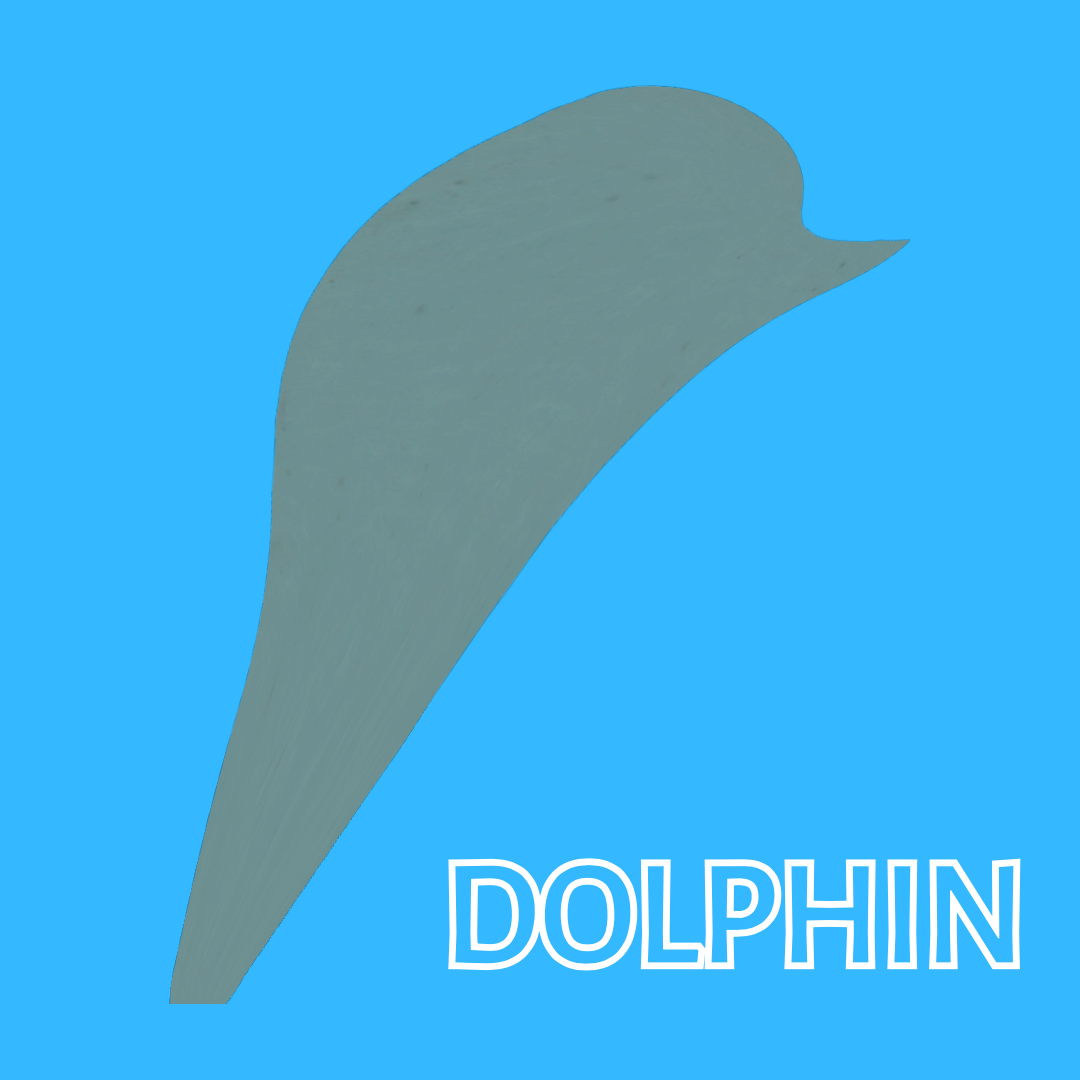 Picture - Dolphin-jump (328 KB)