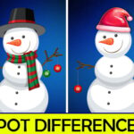 Christmas Spot differences